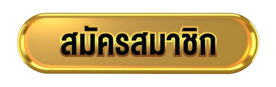 สมัครสมาชิก Dragon88